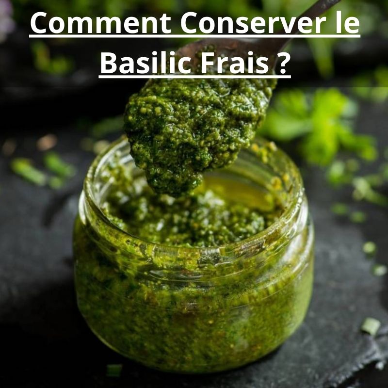 Comment Conserver le Basilic Frais
