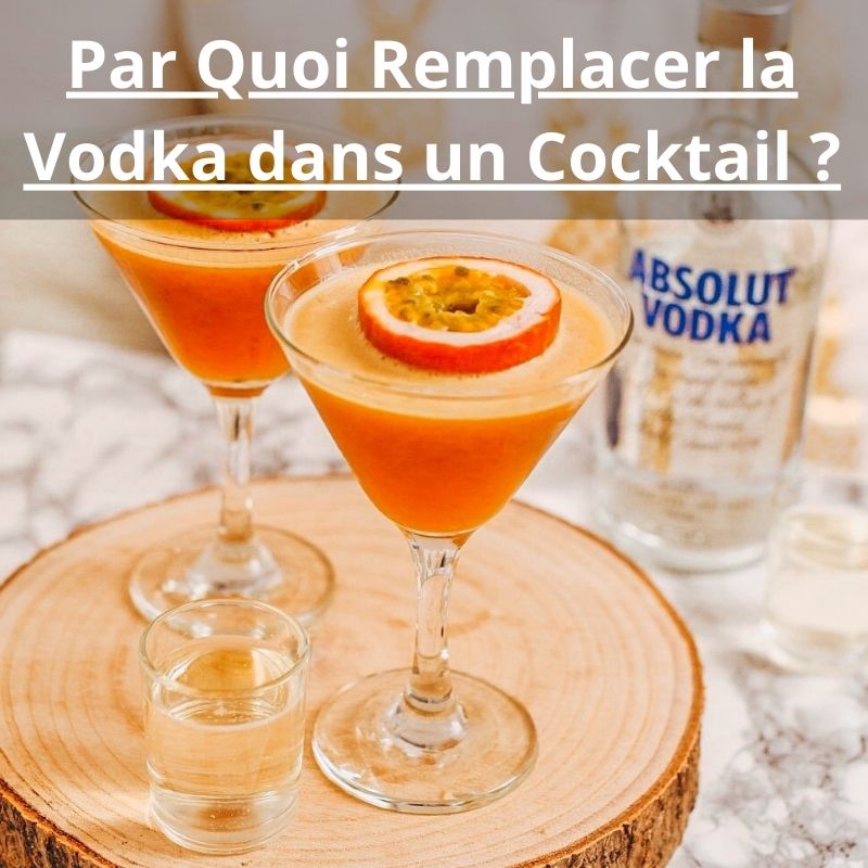 Par Quoi Remplacer la Vodka dans un Cocktail