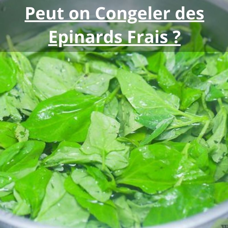 Peut on Congeler des Epinards Frais
