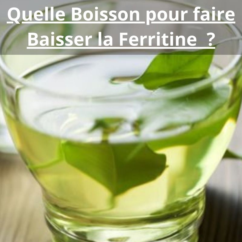 Quelle Boisson pour faire Baisser la Ferritine