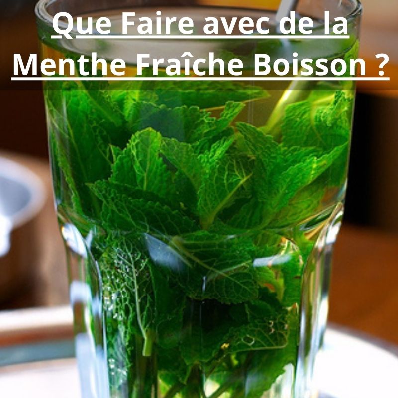 Que Faire avec de la Menthe Fraîche Boisson