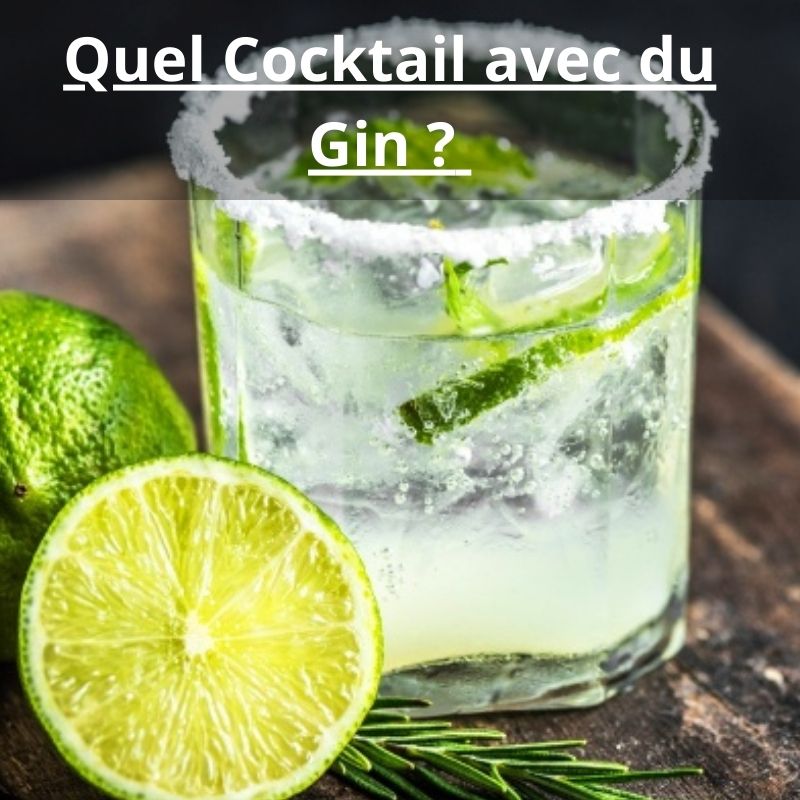 Quel Cocktail avec du Gin