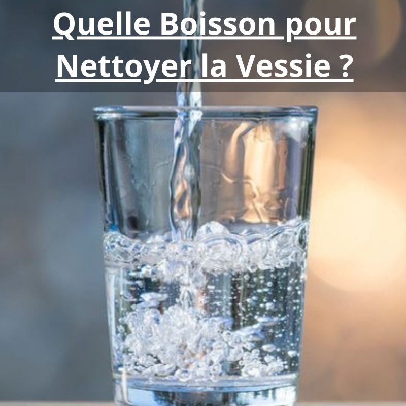 Quelle Boisson pour Nettoyer la Vessie