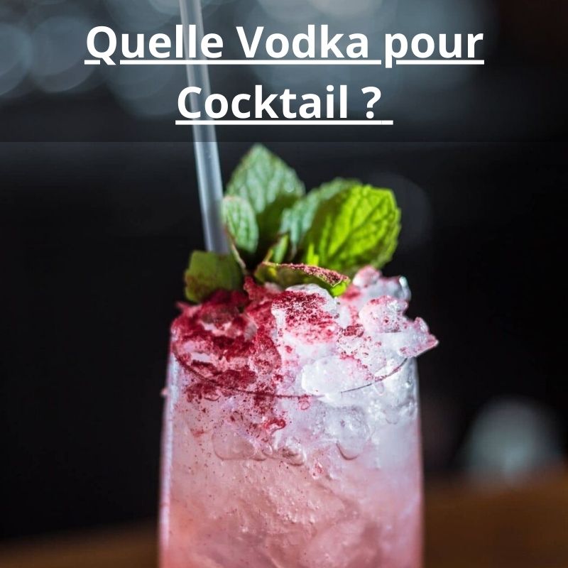 Quelle Vodka pour Cocktail