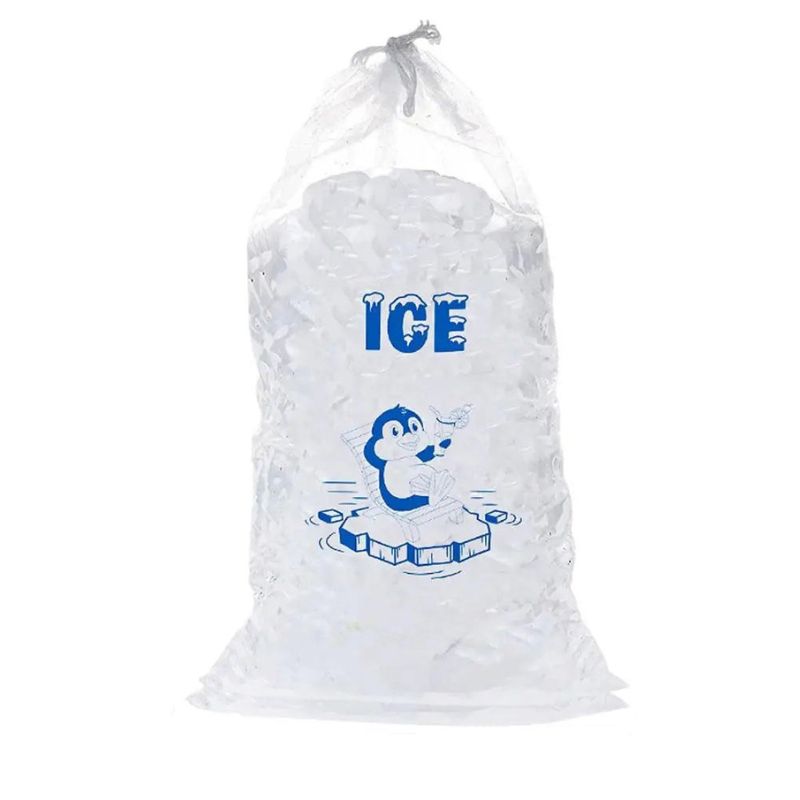 sac à glaçons
