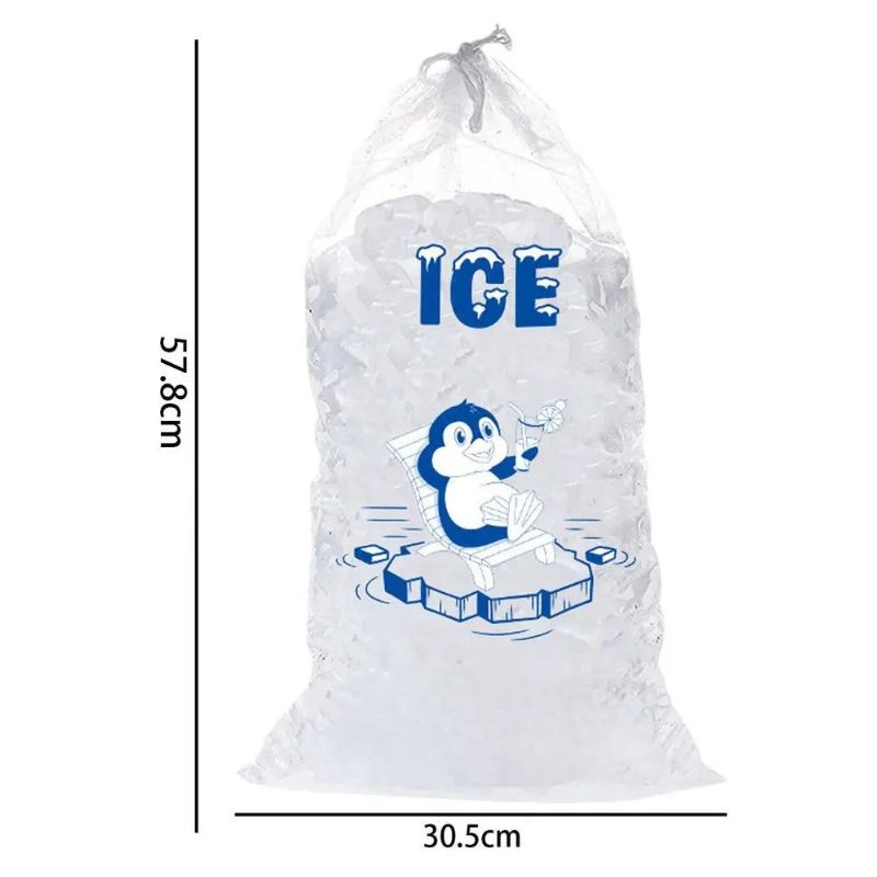 sac à glaçons