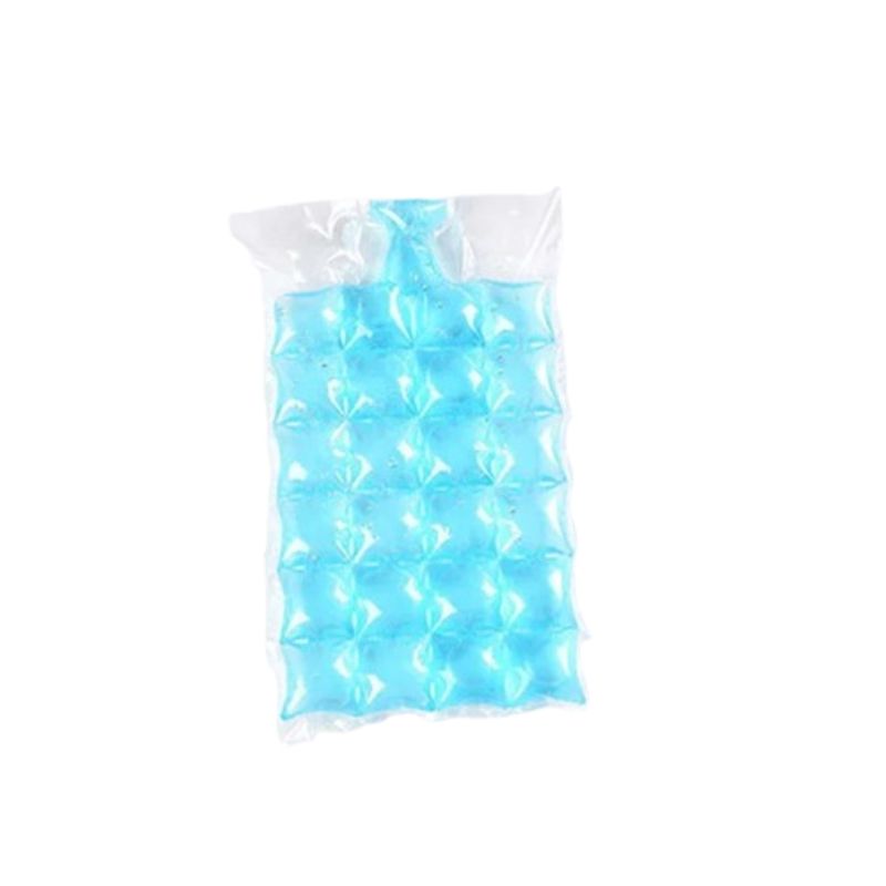 sac à glaçons