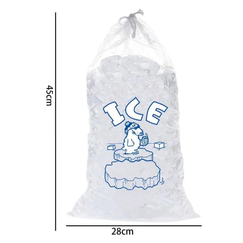 sac à glaçons